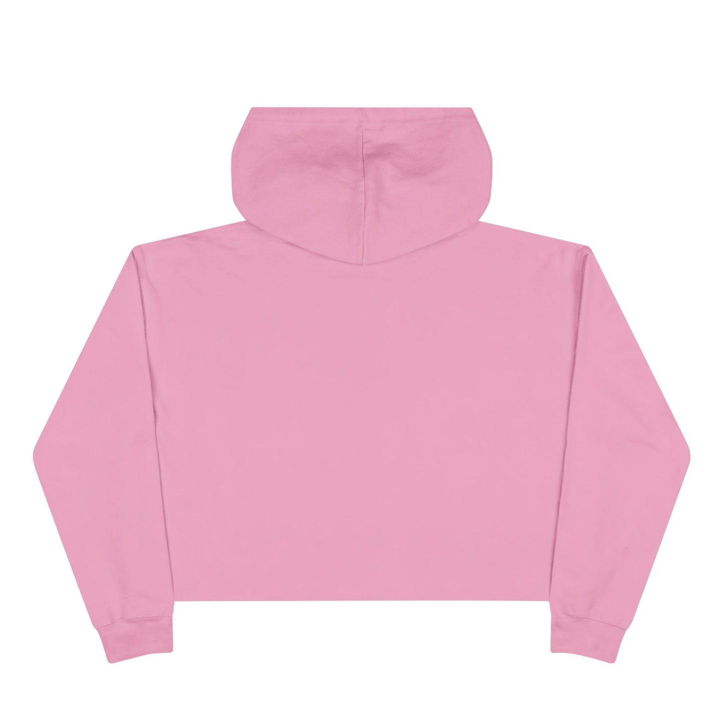 MORALS IHR Crop Hoodie