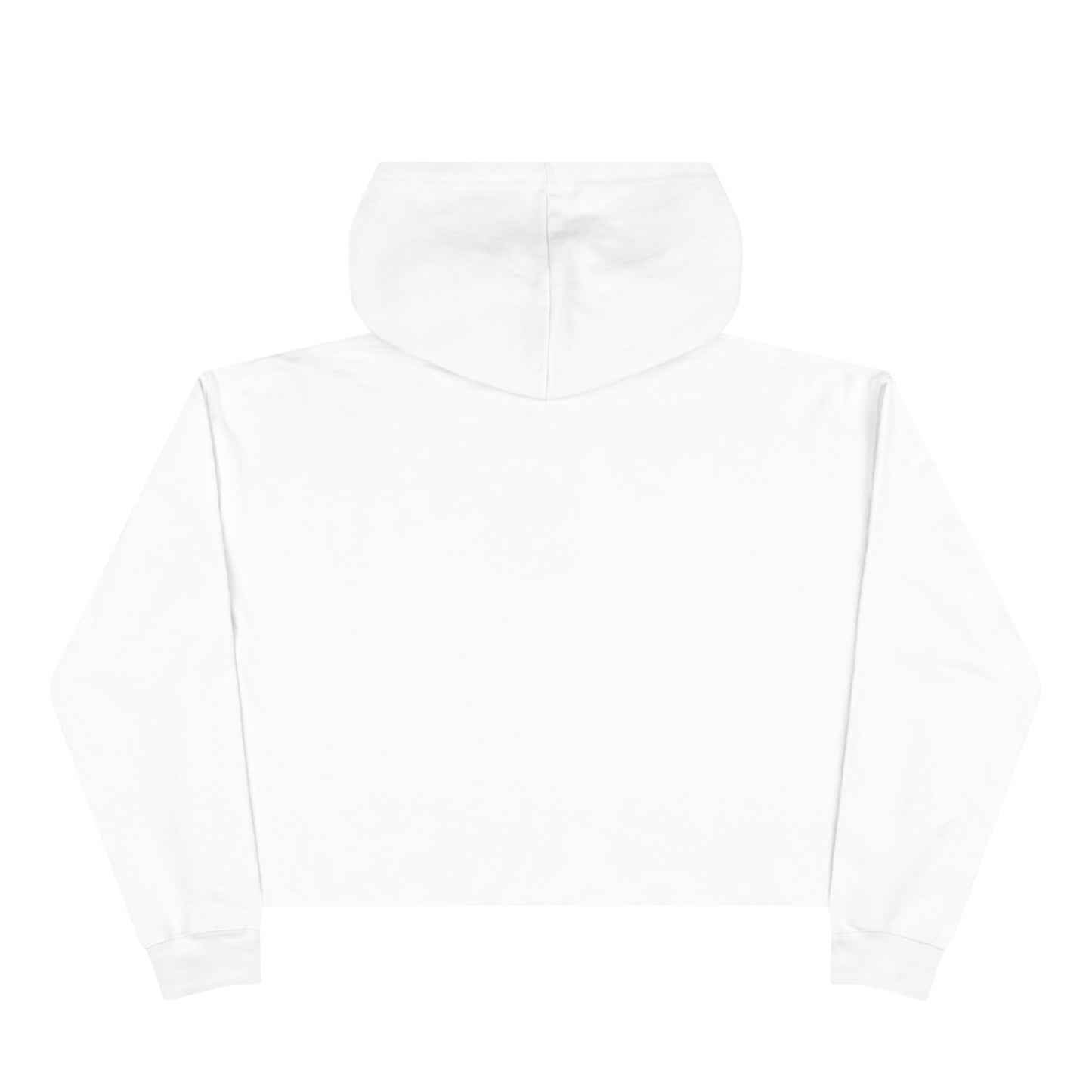 MORALS IHR Crop Hoodie