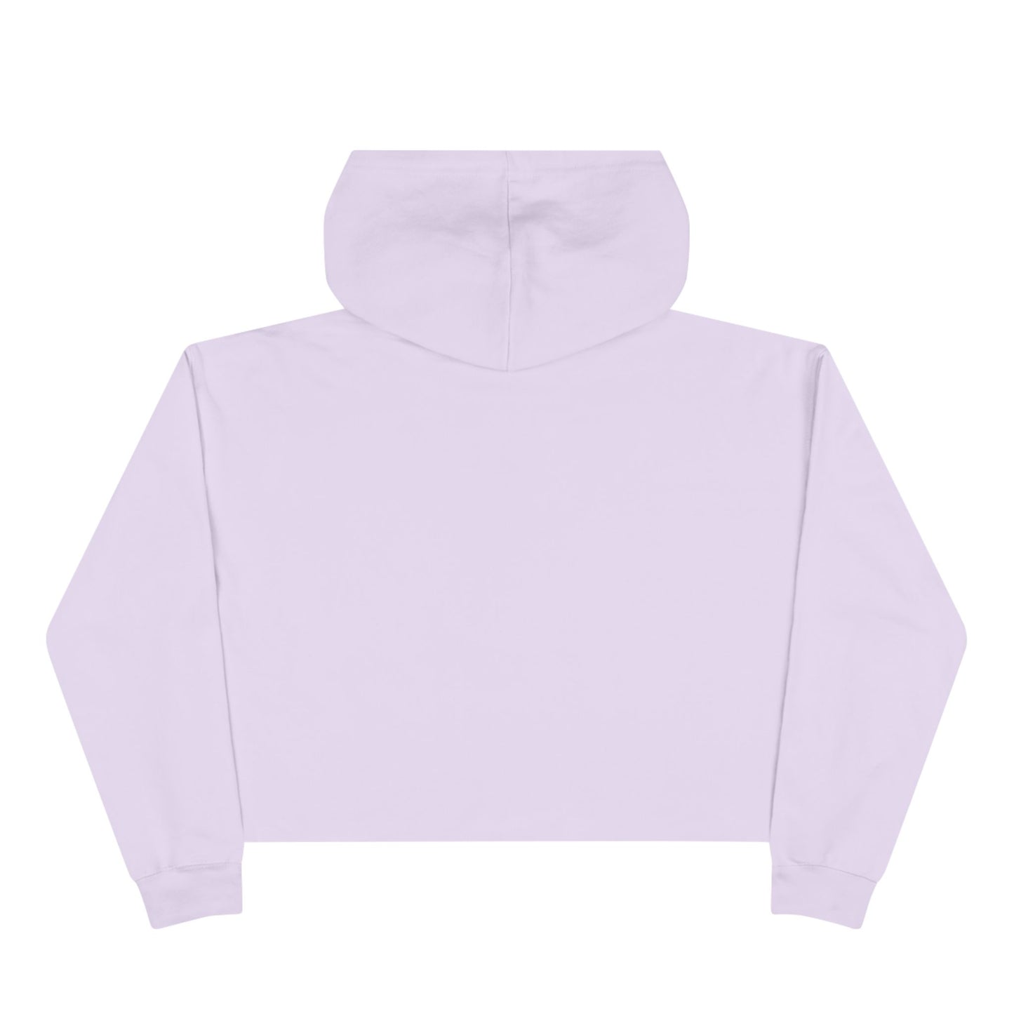 MORALS IHR Crop Hoodie