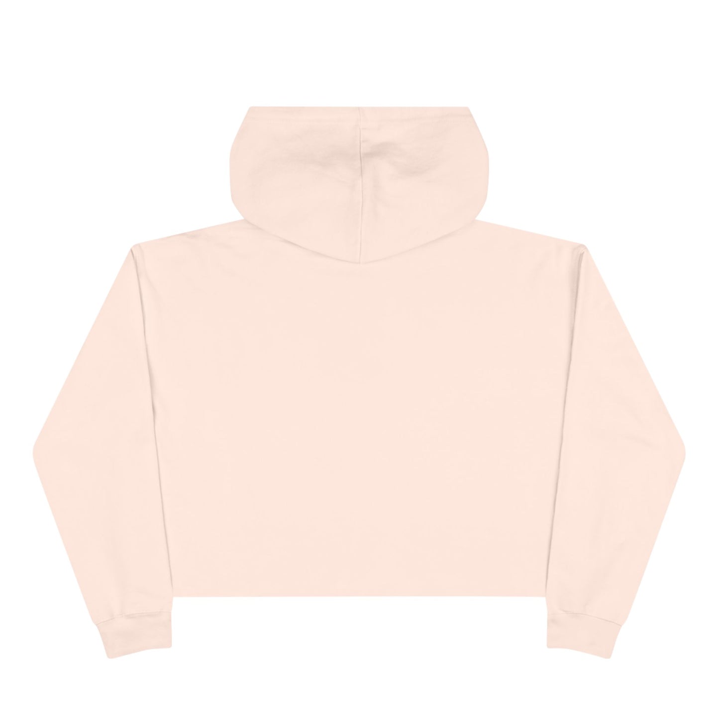 MORALS IHR Crop Hoodie